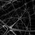 Plasticidad neuronal y logopedia