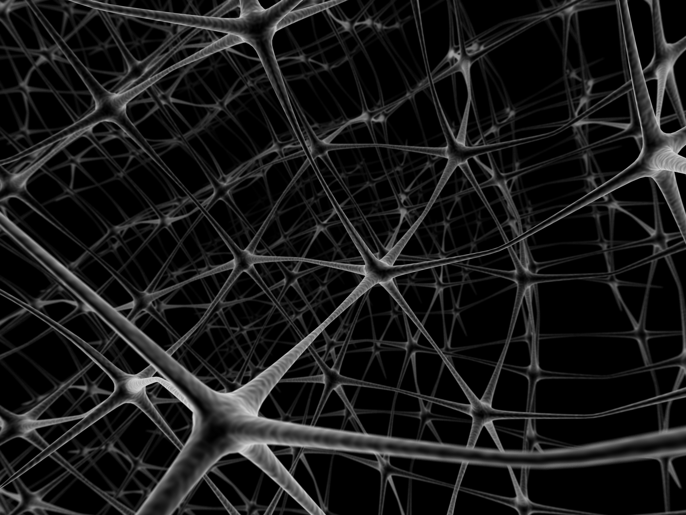 Plasticidad neuronal y logopedia