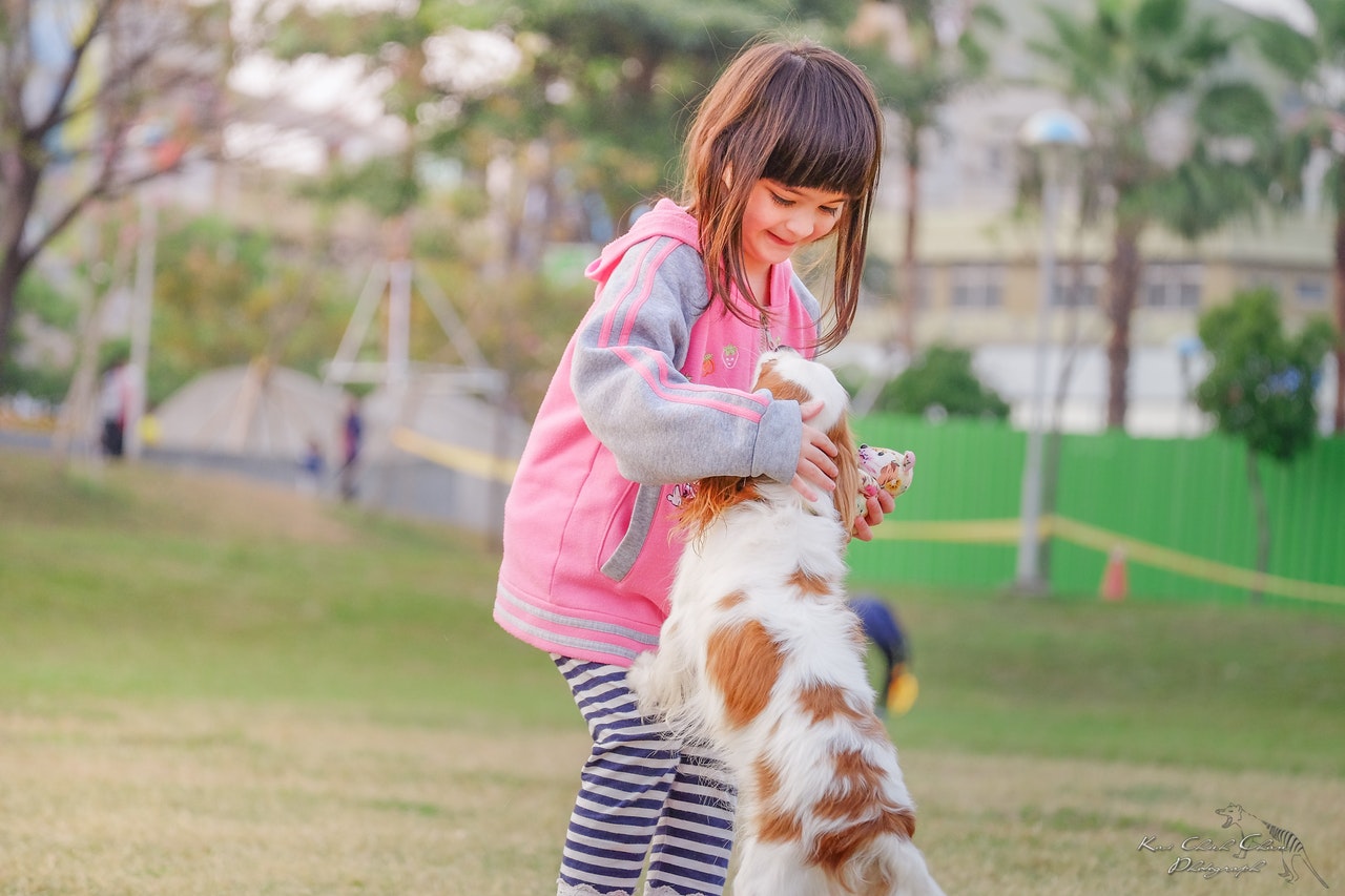 Terapia Asistida con Animales, una nueva dimensión en Logopedia